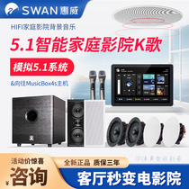 Germany and Japan imported 5 1 home theater background music host set whole house smart home Swans ceiling
