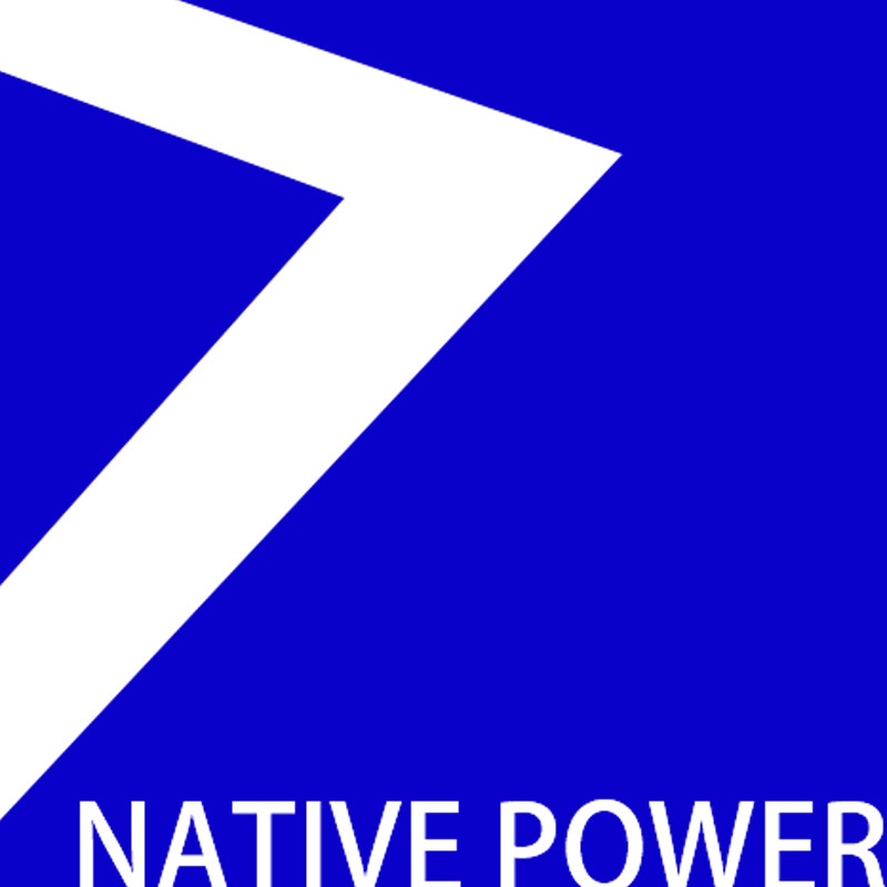 原生力DESIGN的LOGO