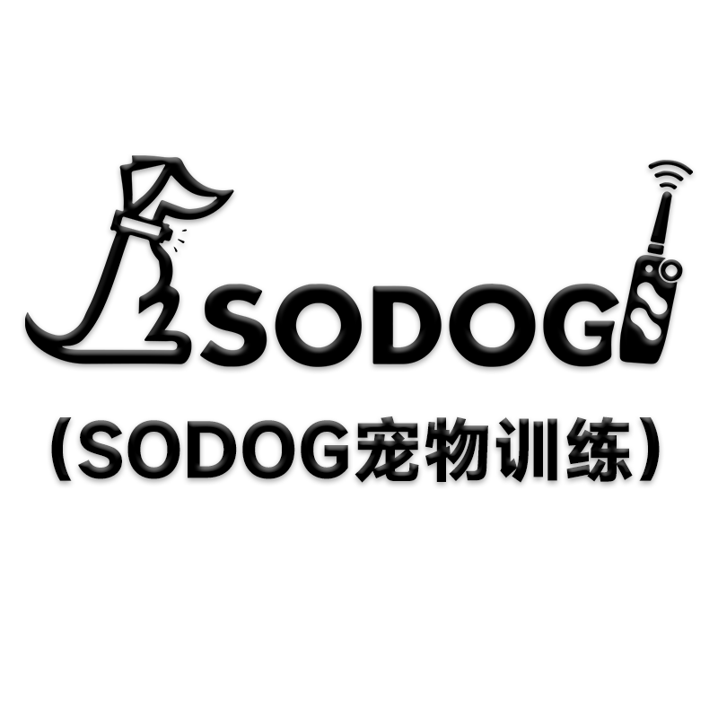SODOG宠物训练用品