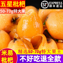 SF Sichuan Panzhihua Rice Loquat Fresh Morning Bell Loquat Big Five-Star Pipa 5 Jin Big Fruit Gift Box