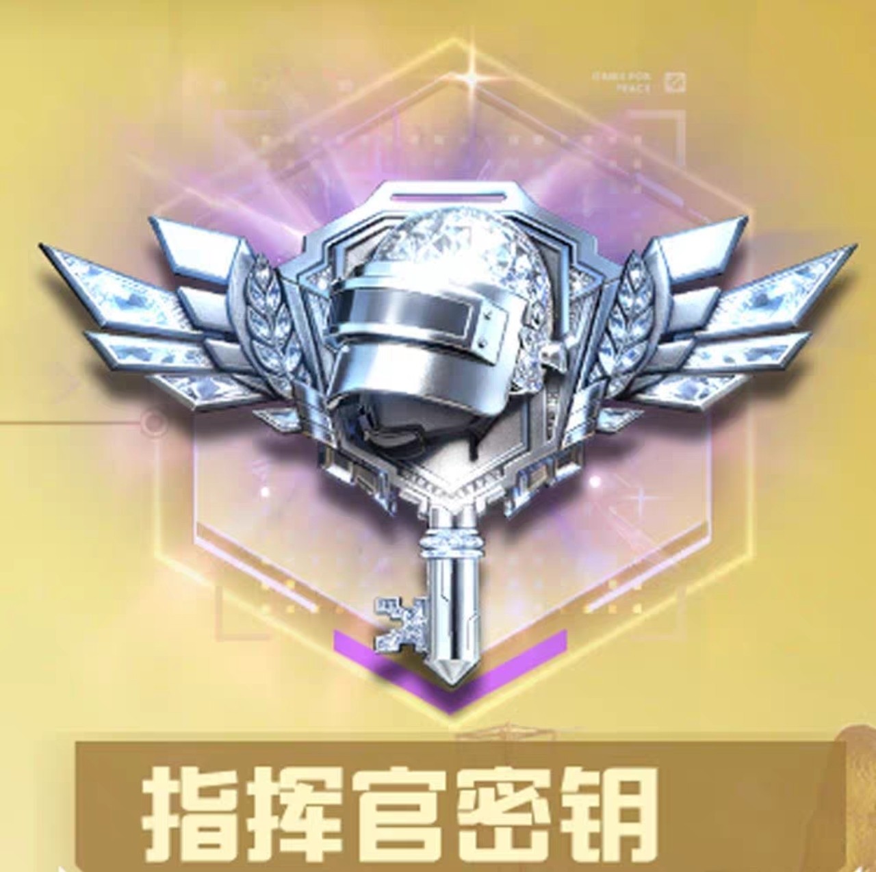 和平精英地铁逃生战场指挥官密钥特种兵密钥礼包真香了_游戏礼包_淘宝游戏网, image size:1280x1274