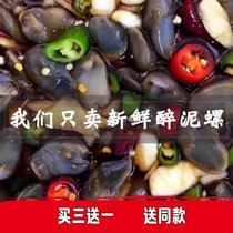 Drunk Clay Snail Salt City Ningbo Clay Snail Canned Ready-to-eat Instant Yellow Clay Snail without sand and a large ready-to-eat 300 gr