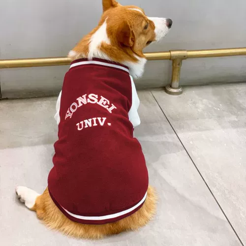 Толстовка для собак на весну, осень и зиму, модный бренд для домашних животных, бишон фризе, померанский шпиц, французский бульдог, шнауцер, двуногая одежда для маленьких собак