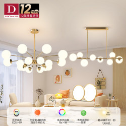 German Tiffman Simple Modern Eye-Protecting Living Room Ceiling Lamp Creative Full-Spectrum Light Luxury Molecular Magic Bean Package