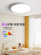 Tiffman [Flowing Firefly] Eye-Protecting Ceiling Light Full Spectrum Bedroom Light Children's Room Light Simple Modern Lighting Fixture