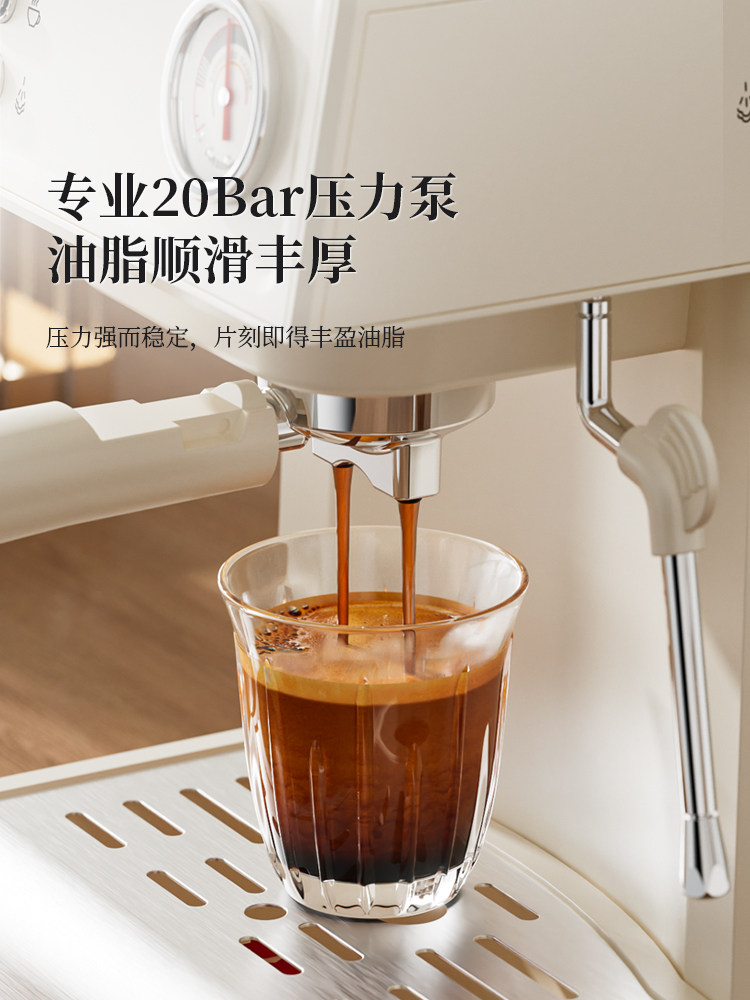 SAPOUDR Ec35 Semi-Automatic Italian-Style Steam Milk Frother Integrated Household Small Coffee Machine