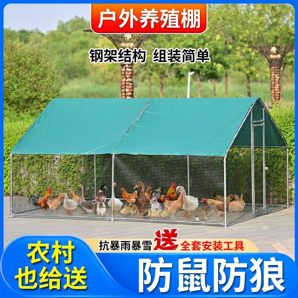 户外鸡笼鸡棚养鸡特大号家禽防雨家用鸽笼孔雀鸡舍大型养殖搭建