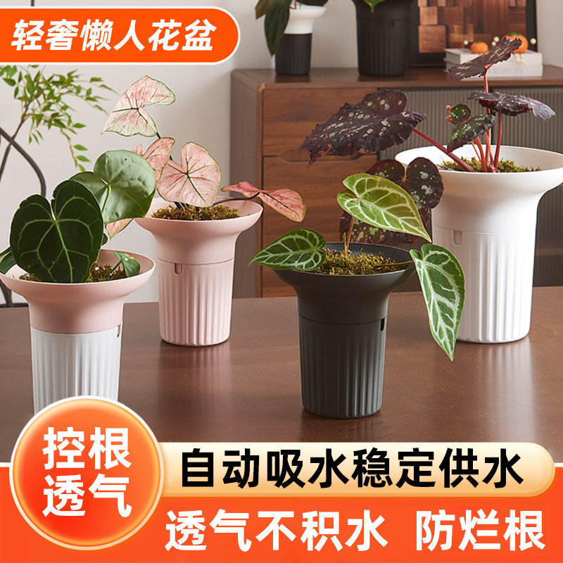 懒人花盆自动吸水储控根双层树脂塑料水培绿萝专用花盆免浇水神器