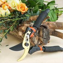 AIRAJ Garden Shears Branch of the Sissor Stainless Steel e