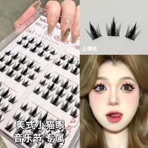 Smoke and soft kitty eye thick graft false eyelash female natural simulation single tuft with large capacity small demon Barbie eye