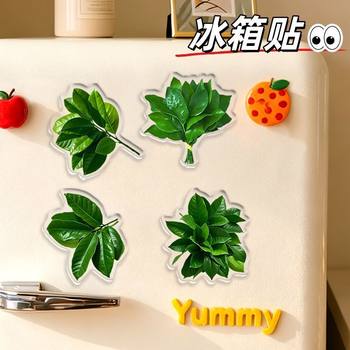 Grapefruit Leaf Refrigerator Magnet to Ward Off Bad Luck, Personalized Creative Magnetic Decoration, Cute and Fun, High-Grade Acrylic