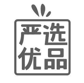 严选正品卖店的LOGO