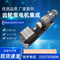 Glue filling machine gear pump Glue filling machine gear metering pump Foaming machine metering pump Corrosion-resistant and wear-resistant gear pump