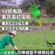 Haping Tips Electric chili Chrysanthemum Grape Topping Machine Fruit Tree Bet Baching Horn Behing Helt Melt melon t