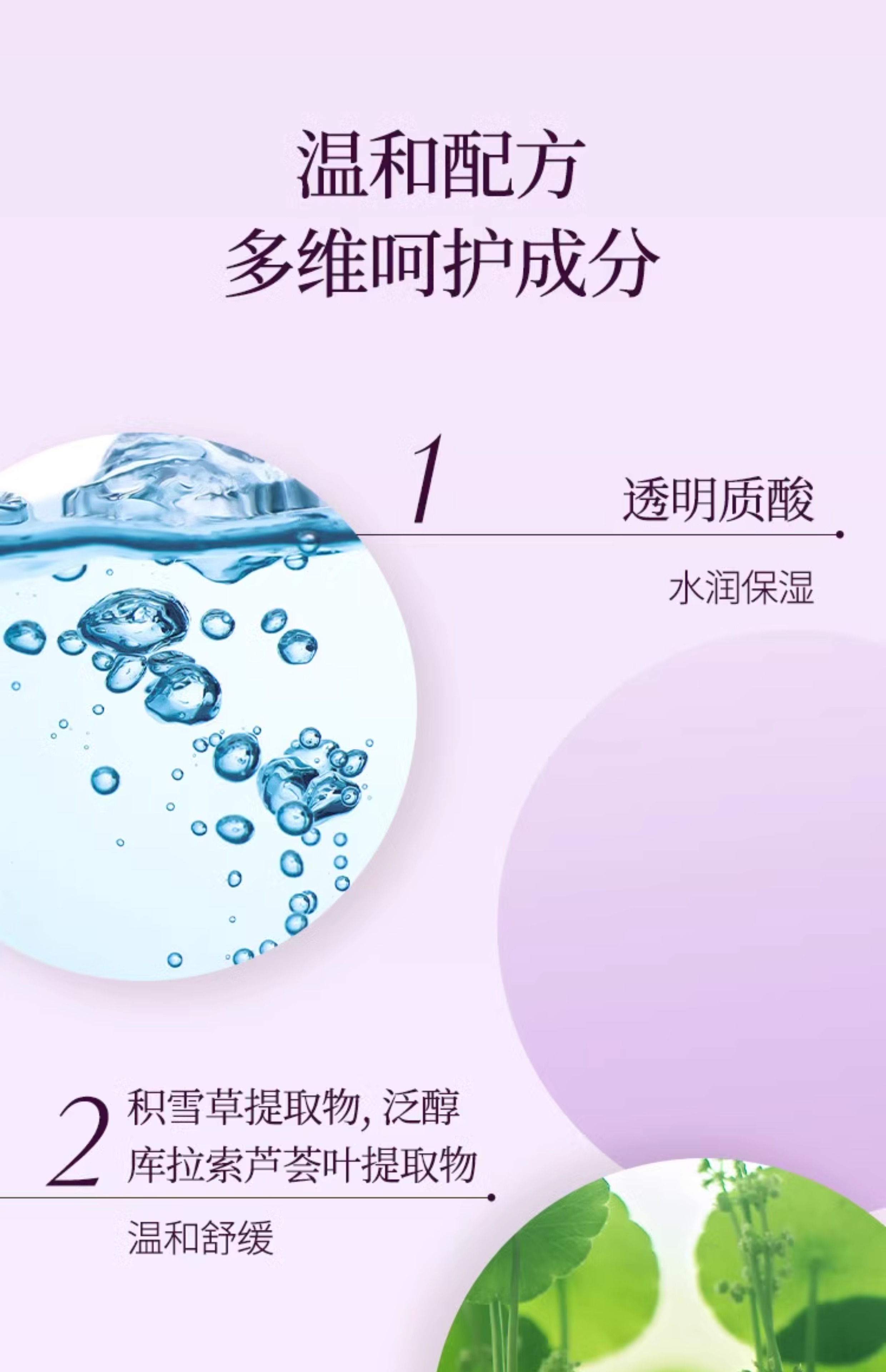 【香港直郵】 韓國 d'alba 黛爾珀 小紫傘防曬隔離霜50ml SPF50+ PA++++ 素顏提亮 防水防汗 紫色妝前乳 修正暗黃 精華養膚 輕薄不悶痘