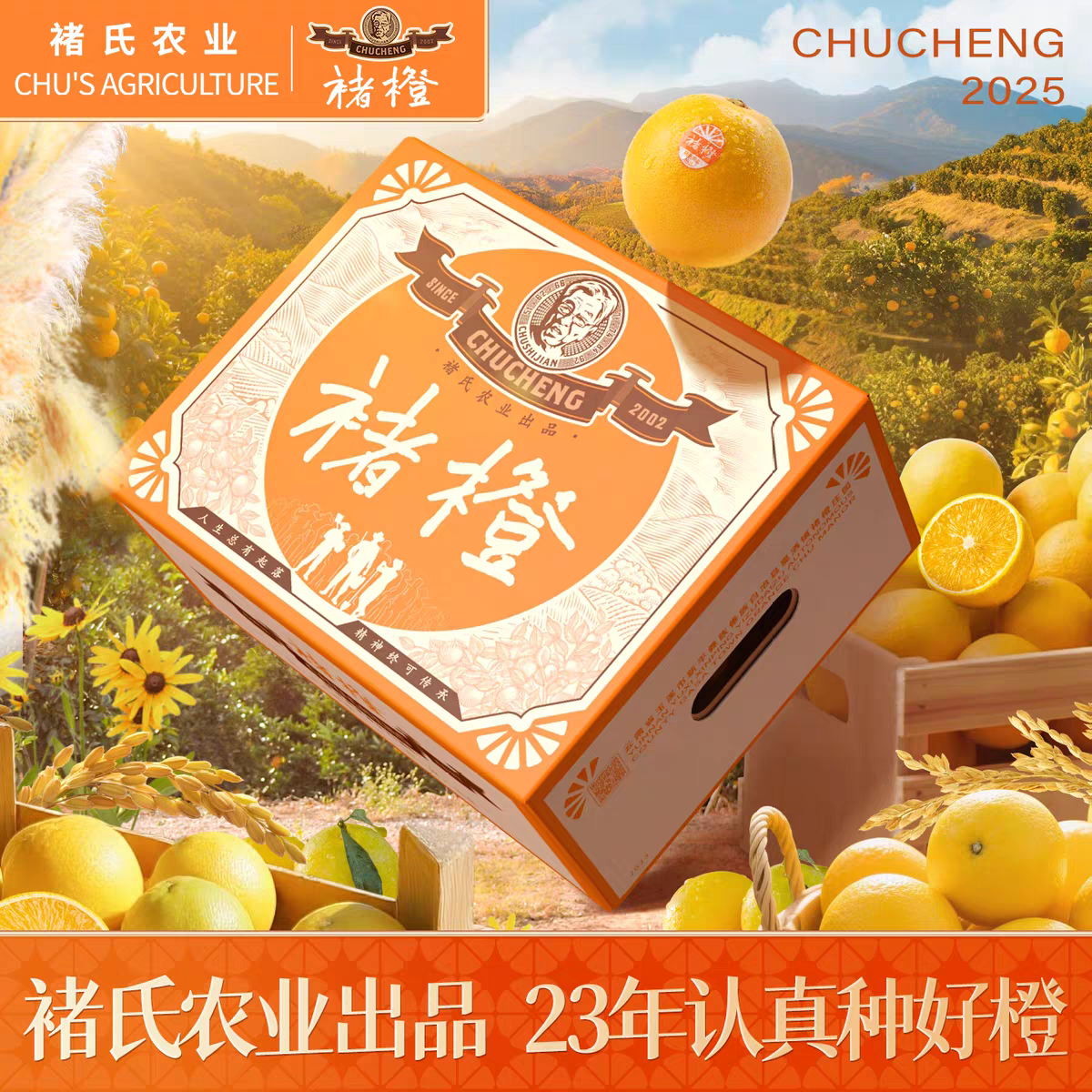 Authentic Yunnan Ailao Mountain rock sugar orange orange Chu orange Yunnan orange seasonal fresh fruit inspirational Chu piebald fruit