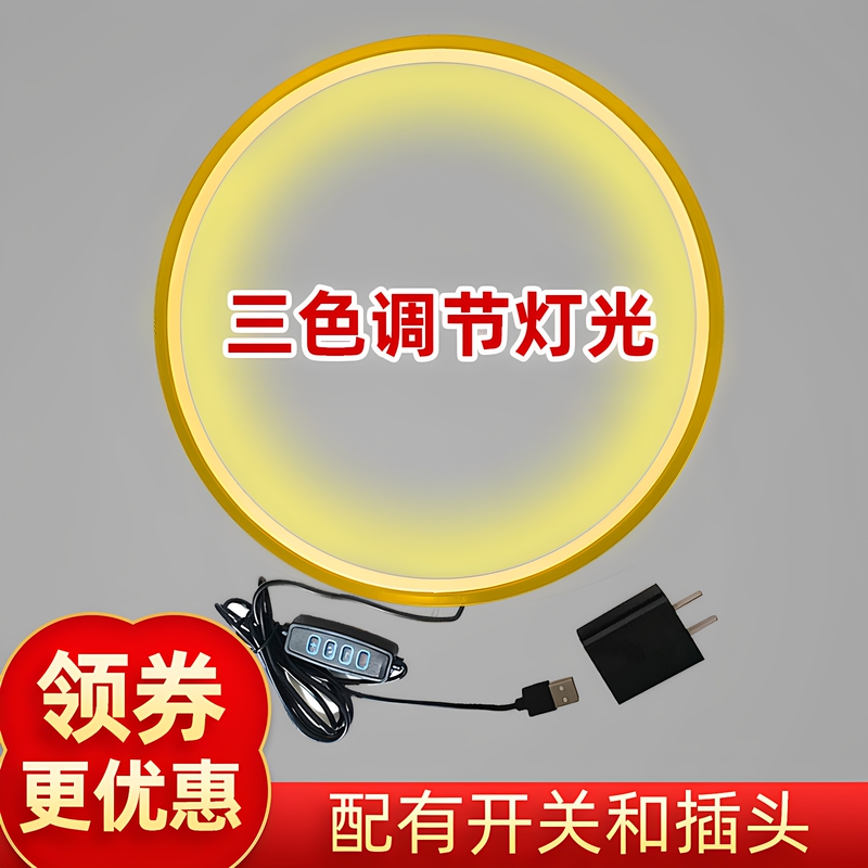 Golden Led Light Ring for the Inside of a Buddhist Altar, for the Guanyin Altar, Deity Statue, Buddhist Hall, Buddha Statue, Buddhist Niche, Circular Background Light, Ring Light