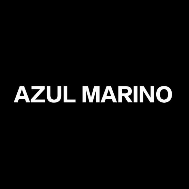 cover image for azul marin