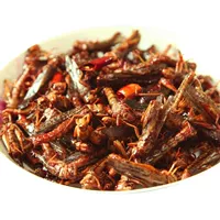 Five-Spice Grasshopper 400G + Spicy Grasshopper 400G [необходимо для питья]
