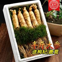(Shunfeng Air) 500g Northeast ginseng Changbai Mountain Fresh Ginseng Ginseng Wild Hills with fresh ginseng