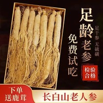 Long White Hills Ginseng Wild Ginseng white ginseng Northeastern Special Bubble Wine Dried Ginseng for 8 years Whole Sun Ginseng 500g