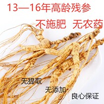 Ginseng Changbai Mountain wild ginseng stumps Northeast wild understory ginseng stumps removed mountain ginseng branches stumps cooked in soup and wine