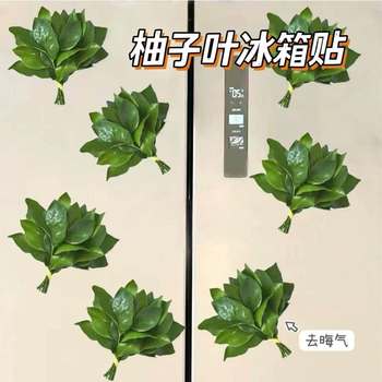 Good Luck Pomelo Leaf Stickers, Pomelo Leaf Bad Luck Remover, Refrigerator Magnetic Stickers, Decorative Magnetic Stickers, Toilet Seat Waterproof Stickers