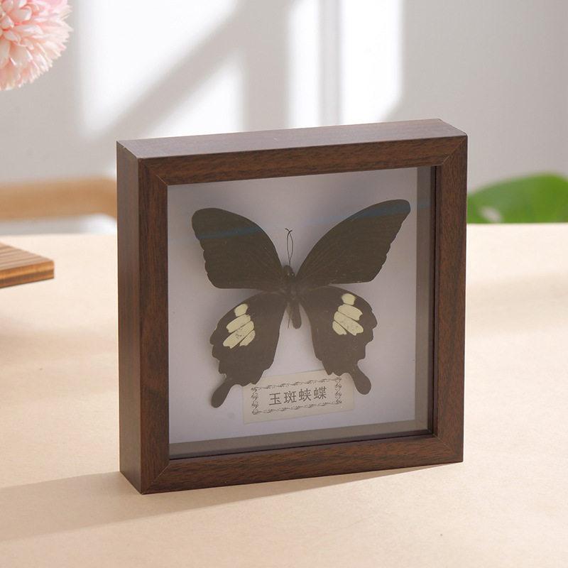 Glass Display Box Hollow Photo Frame Butterfly Solid Wood Display Frame Picture Frame Handmade DIY Insect Stereo Frame Dried Flowers