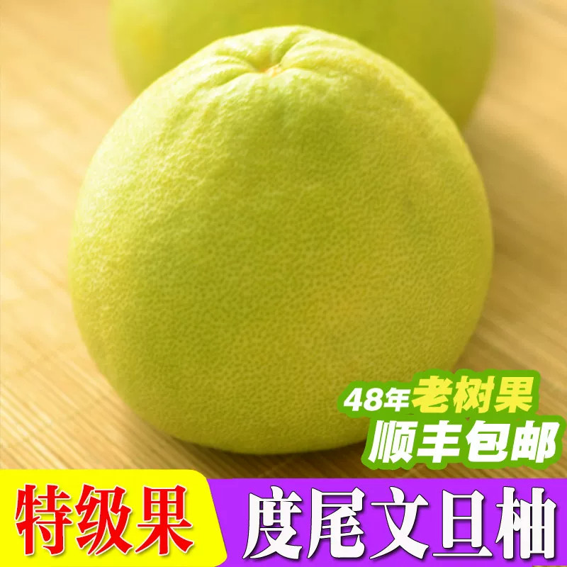 度尾文旦柚基地