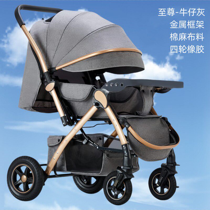 German two-way craft stroller: handy gadget for babies aged 0 to 3 ...