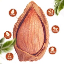 Xinjiang specialty open apricot shelled small ginkgo is very good a casual nut origin straight hair