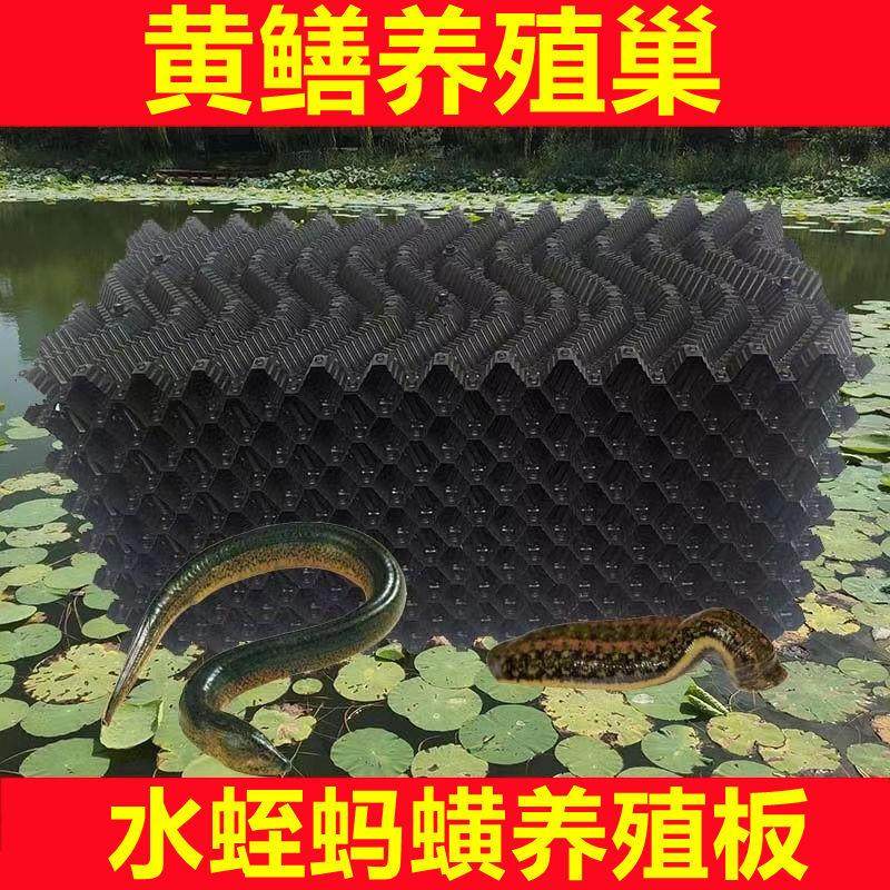 Eel Breeding Nest Eel Nest Eel Nest Eel Nest Artificial Breeding Nest Plastic Mud Loach Leech Plastic Honeycomb Nest-Taobao