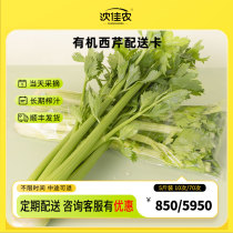 Shen Jiannong organic celery freshly delivered juiced celery therapeutic vegetables SF green vegetables 5 pounds 10 servings 70 servings