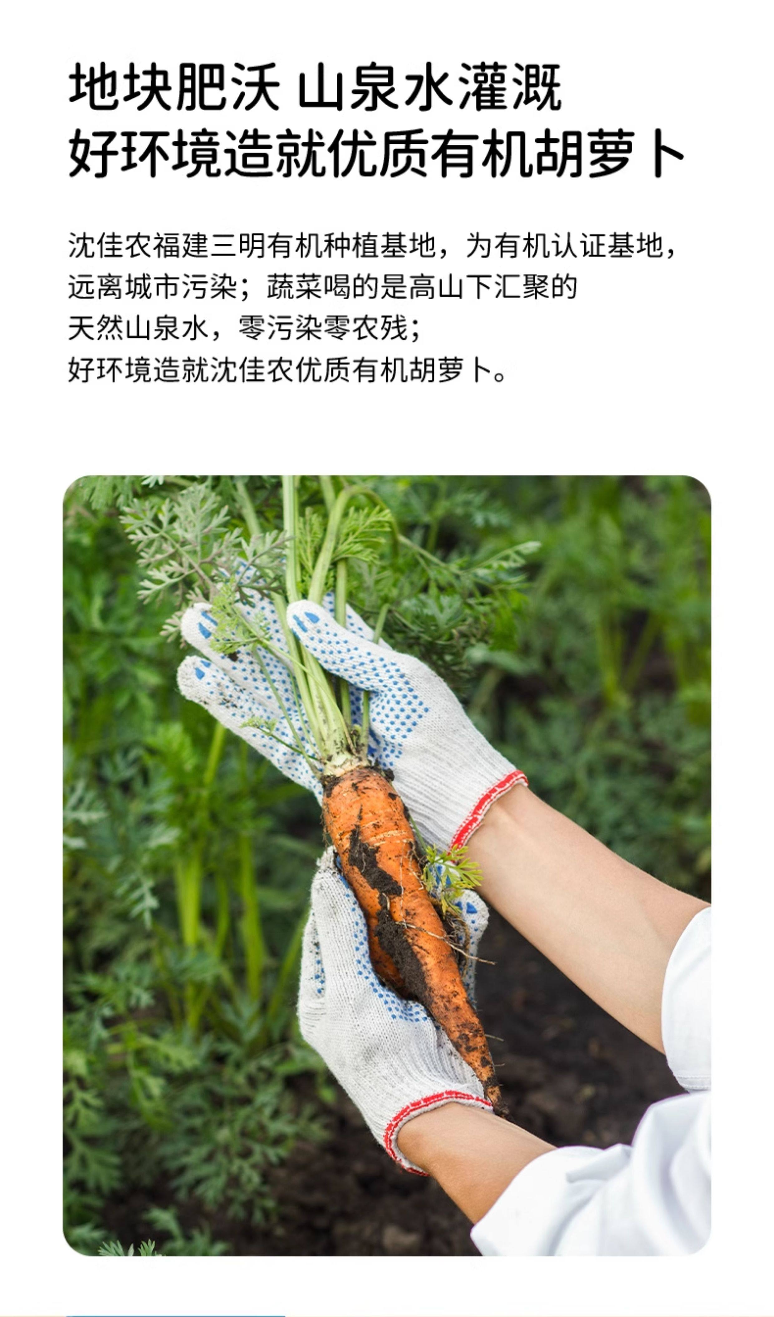 安享好物 安享S级混合果蔬汁-沈佳农有机 苹果胡萝卜汁 国标 