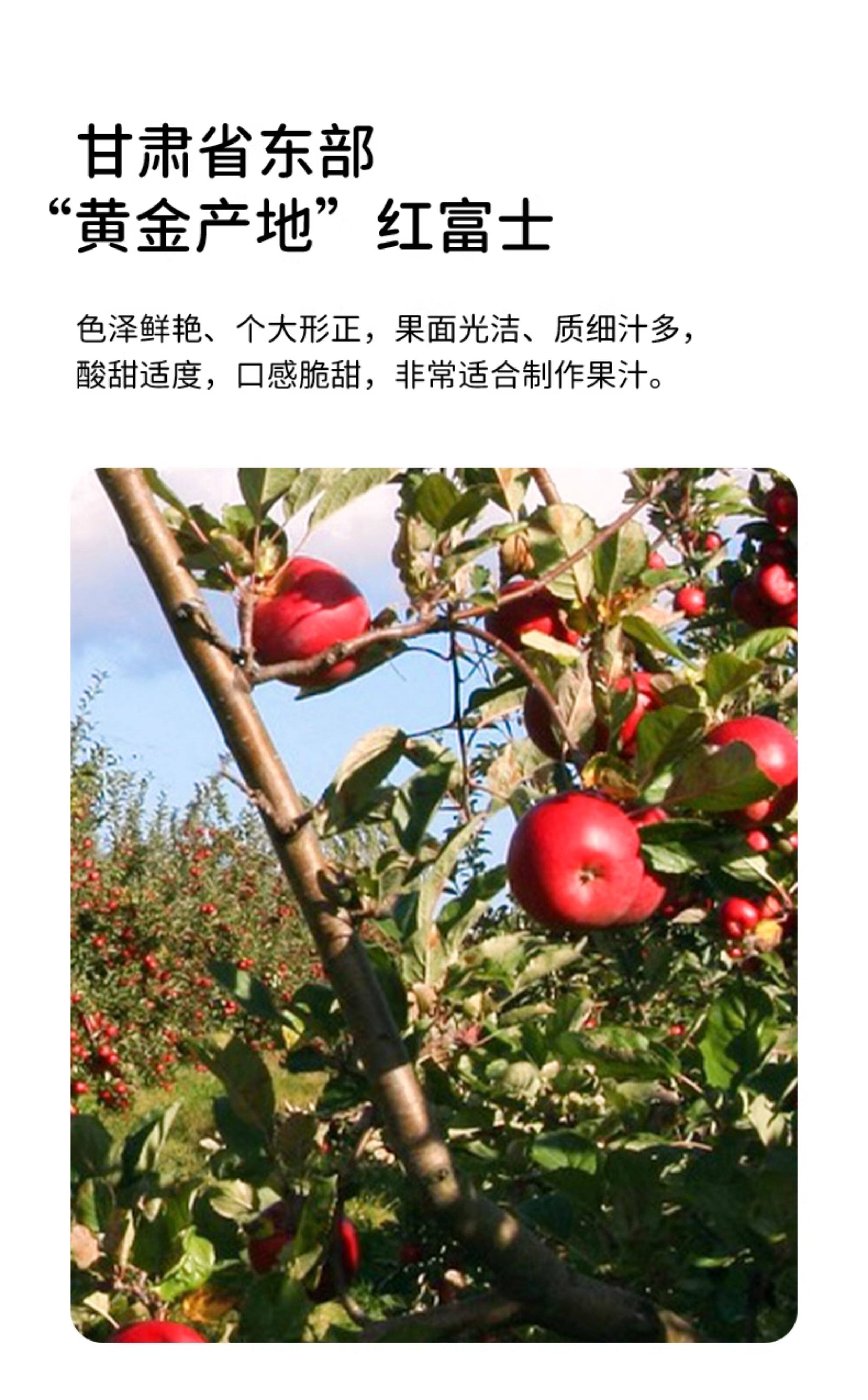 安享好物 安享S级混合果蔬汁-沈佳农有机 苹果胡萝卜汁 国标 