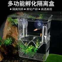 Zebrafish hatching box fish tank hatching isolation box guppy zebra fry breeding isolation box acrylic transparent