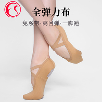 Dance shoes fully elastic cloth dance shoes soft-soled shoes for adults men and women childrens shoes professional ballet practice shoes