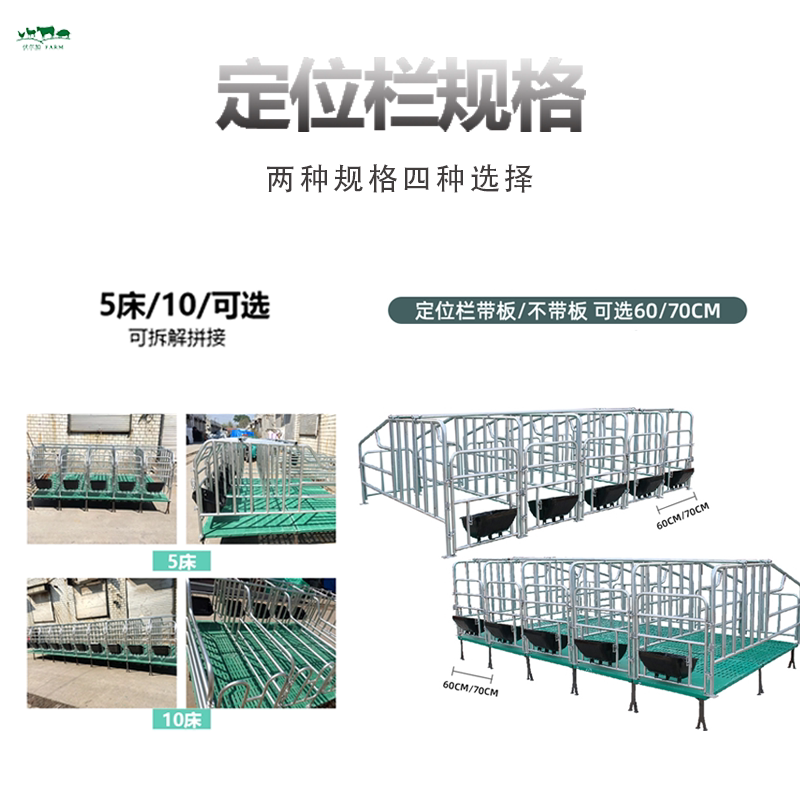 伏尔加母猪定位栏5/10猪位带漏粪板:养猪场必备神器,如何选择最合适的配置?-猪栏猪笼-淘宝百科网