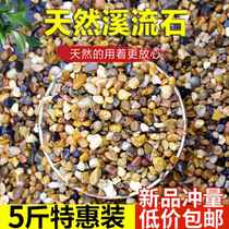 Natural river sand stream sand pebbles native aquarium fish tank water plant tank succulent pavement pebble filter pebbles