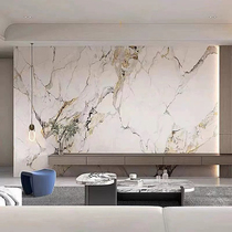 Internet celebrity living room marble pattern wall covering seamless whole house mural simple TV background wallpaper film and television decoration