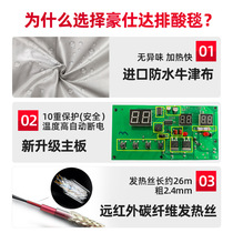 Space sea buckthorn dehumidification and acid removal blanket beauty salon sweat far infrared steaming bag home full body sauna blanket to relieve cold