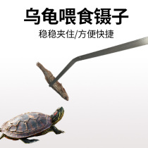 Turtle feeding clip extended turtle feeding suitable for reptile fish tank cleaning tool long handle toothed stainless steel tweezers