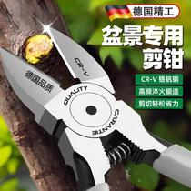 German bonsai special tools gardening pruning shears nozzle pliers potted plant shaping leaf bud shears household floral shears