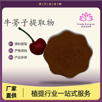 Burdock Extract 10:1 Youlanda Supply Arctiin Manufacturer