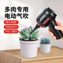 Succulent water blowing Shenqi electric air blowing tool Pihu powerful air blowing gun typeless cleaning dust blower and more