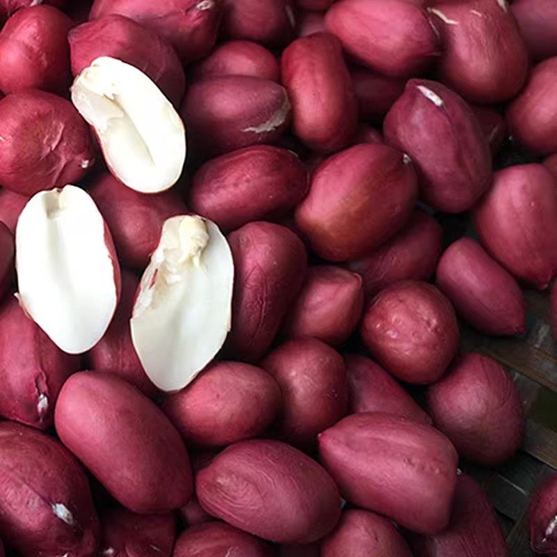 2026年消费升级：农科院云南七彩花生米凭什么成为代餐界的新宠？