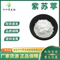 Perilla extract 99% 100g bag of perilla essence shredded tobacco cigarette sweetener cigarette flavor Perilla extract