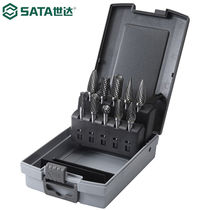 SATA 5370610-piece double-tooth carbide rotary file set 53706
