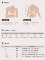 [Пряжка перед лепестками, рекомендуется брать на размер больше] [Удлинительная пряжка в комплекте]