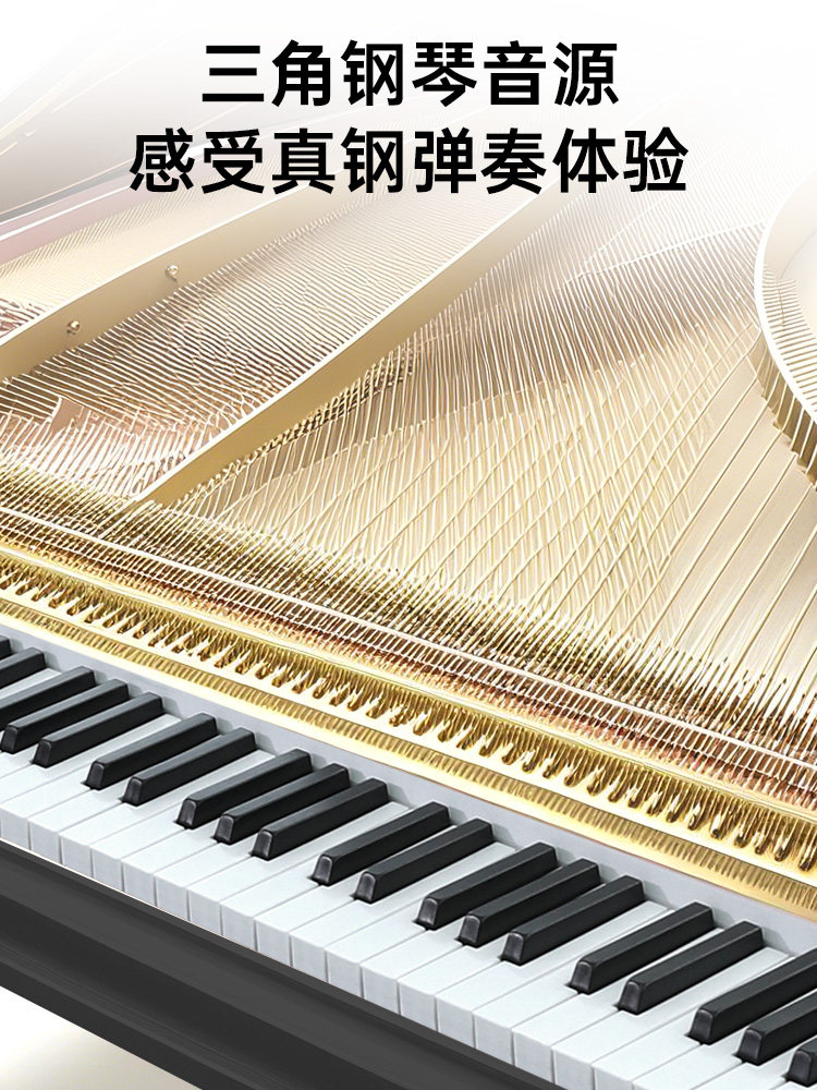 Beiduochen 88-Key Electric Piano Portable for Kindergarten Teachers, Adults, Beginners, Entry-Level Electronic Keyboard, Professional Level 10, Multifunctional